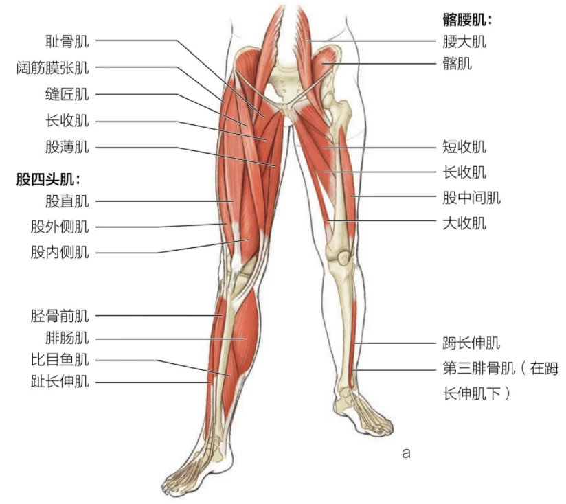 制定科学的篮球训练与休息计划_2